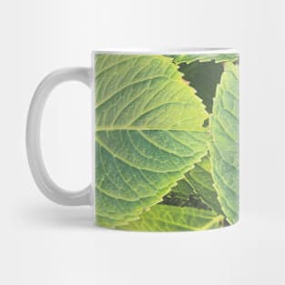 Green Hydrangea Leaves Mug